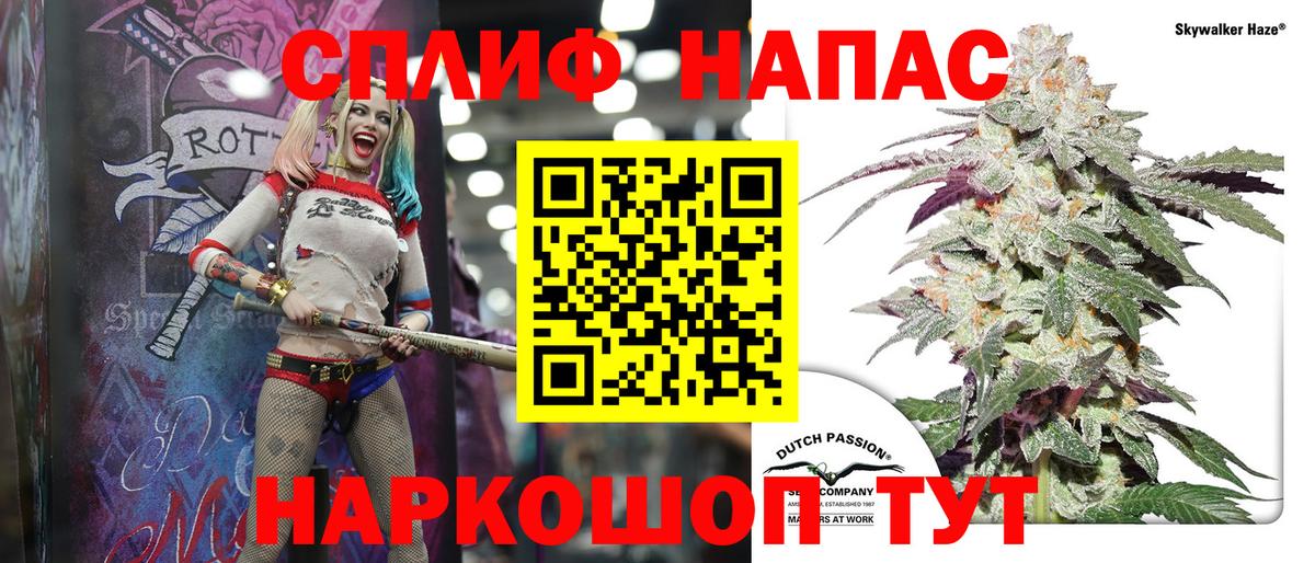 Конопля OG Kush Новоалтайск